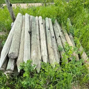 FENCE POSTS