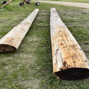 HYDRO POLES