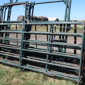 5 - 10' PANELS W/ WALK THROUGH GATES