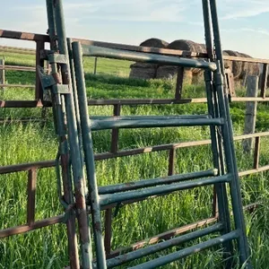 2 - 4' WALK THROUGH GATES