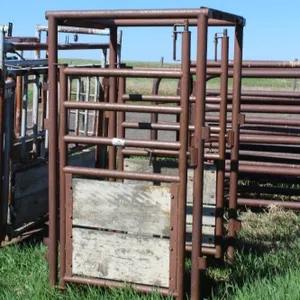 1 - HI QUAL PALP CAGE