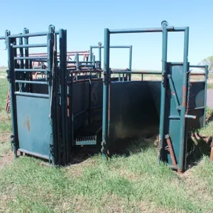 2 - HI HOGG 10' S ALLEY W/ SLIDING GATE