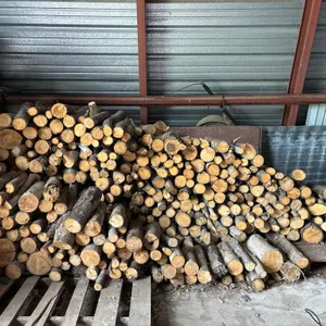 Pile of fire wood