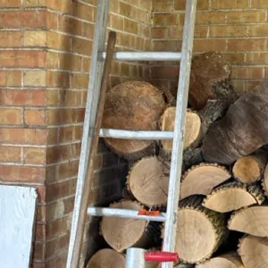 Garden tools and ladder