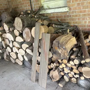 Pile of fire wood