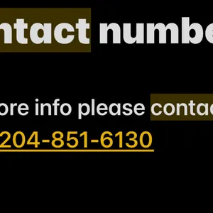 Contact Numbers
