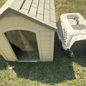 Dog house and kennel