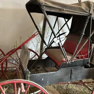 Horse drawn doctors carriage