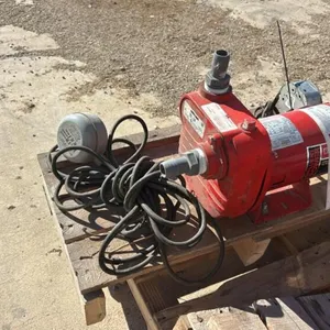 Red lion sewer pump with pill switch