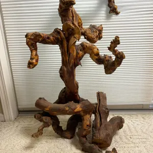 Live Edge Sculpture
