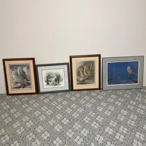 Owl Artworks