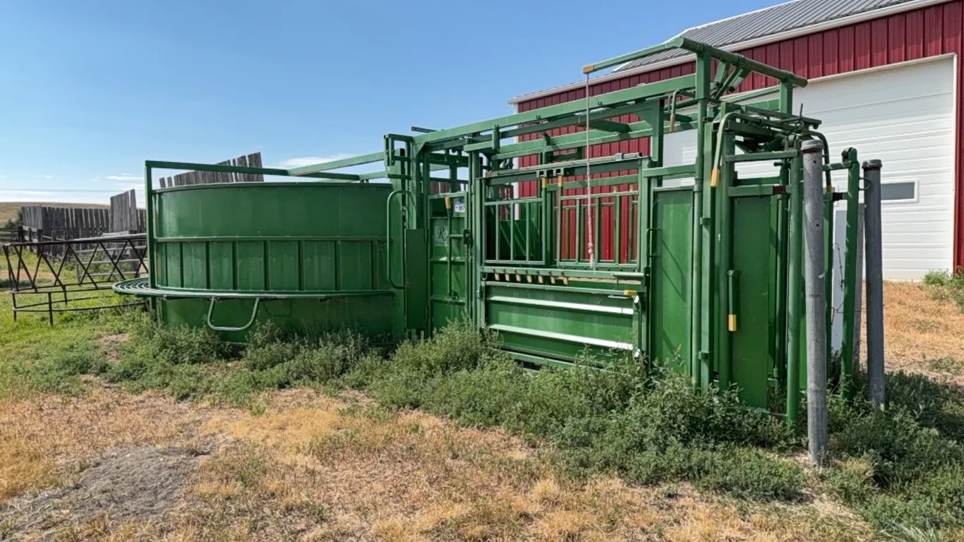 Real Industries Squeeze Chute, Palpation Cage & Crowding Tub