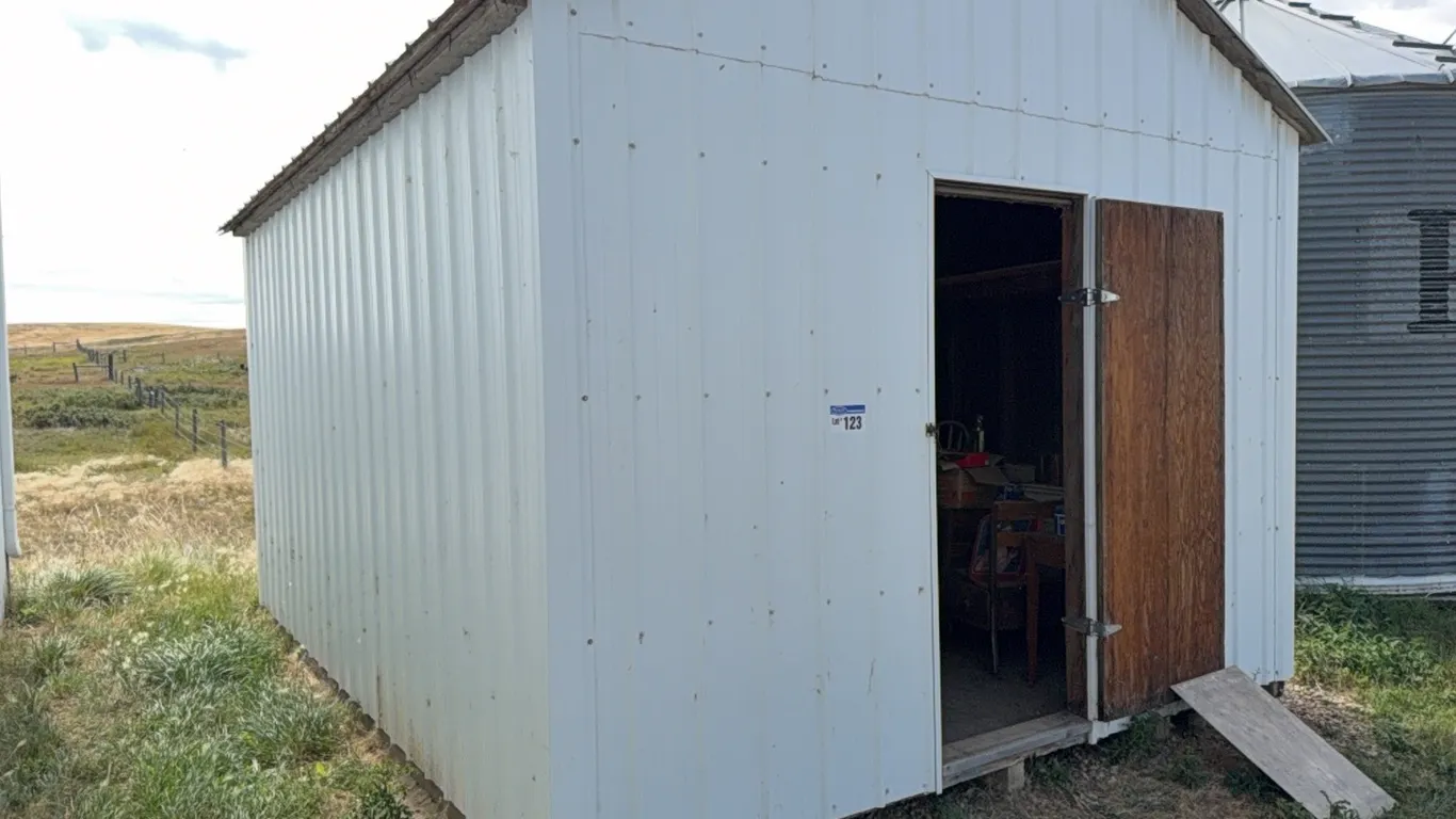 Metal Clad Storage Shed & Large Quantity of Misc. Antiques & Collectables