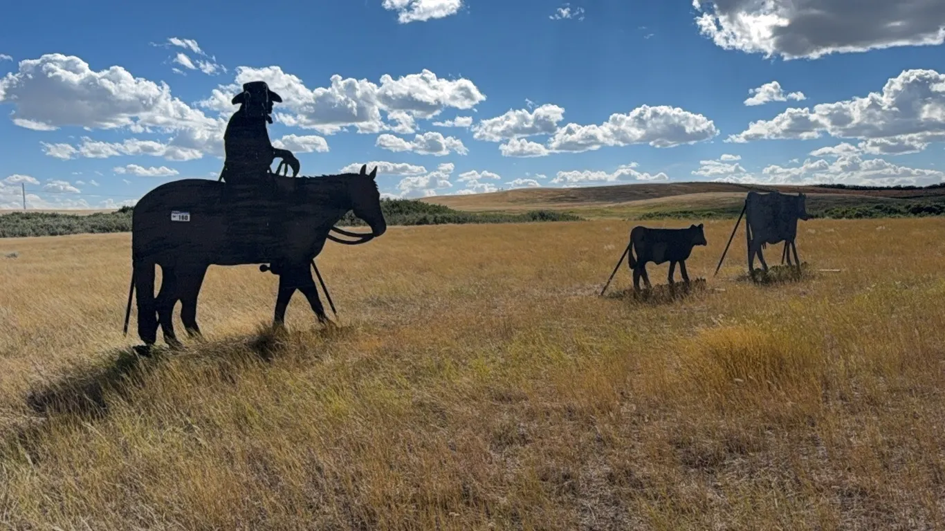 Metal Cowboy, Horse, Cow & Calf Silhouettes- (Life-sized )