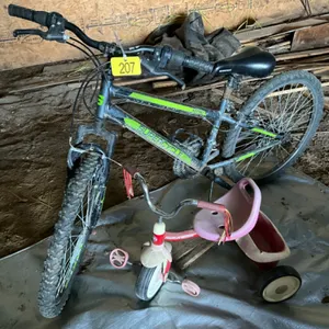 Children’s and adult bike