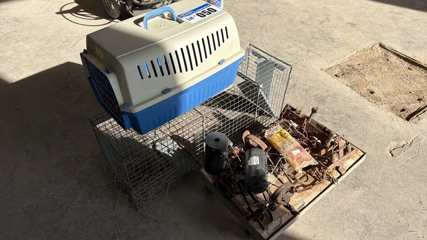 Animal Traps & Pet Carrier