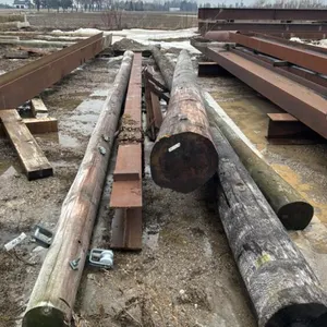 (3) HYDRO POLES