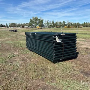 Quantity of (20) 2026 BYT RG10 10 ft x 4 ft Steel Heavy Duty Ranch Livestock Gate (Unused)