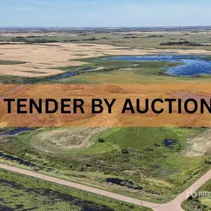 Holden, AB SE 4-50-16-W4 159 +/- Acres on Title Farmland