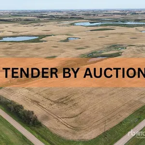 Holden, AB SW 4-50-16-W4 159 +/- Acres on Title Farmland