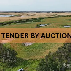 Holden, AB NE 4-50-16-W4 160 +/- Acres on Title Farmland