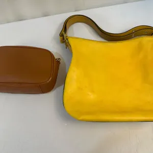 Coach Bag and Louenhide Bags