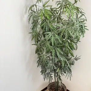 Faux tree
