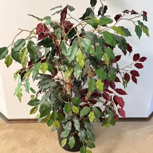 Faux Potted Tree
