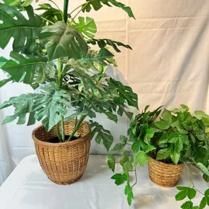Faux Plant Set with Wicker Bases