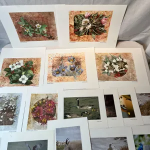 Art and Photography prints