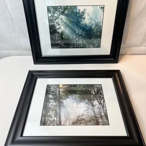 Framed Nature Photographs