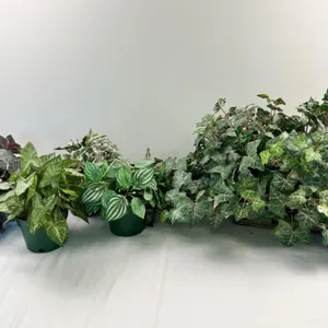 Assorted Faux House Plants