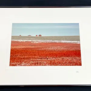"Red Barns on Horizon" Original Alberta Landscape Photographs by Brian Van Sickle