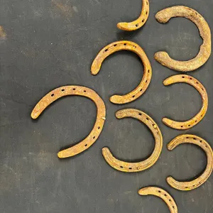 Horseshoes