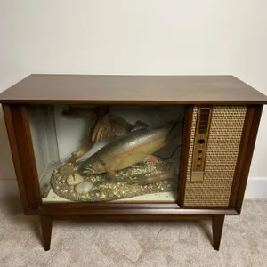 Refurbished Aquatic Television Cabinet