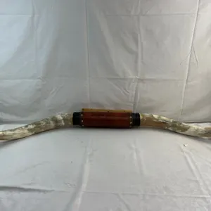 Texas Long Horns