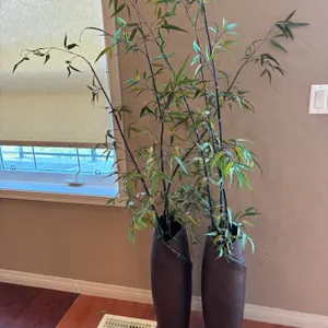 2 Decorative plants