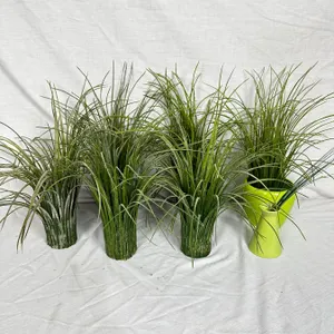 Grass Home Décor