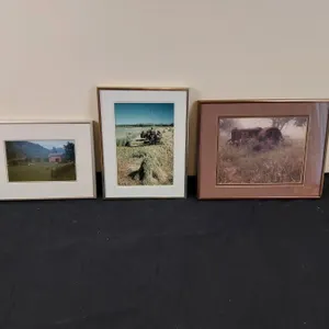 Framed Photographs and Prints
