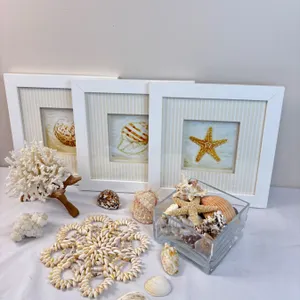 Ocean Life Decor