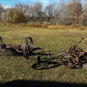 Lawn Decor