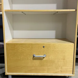 Office Storage Cabinet With File Storage
