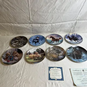 Porcelain Collectors Plates