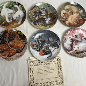 Amy Brackenbury's Cat Tales Collection