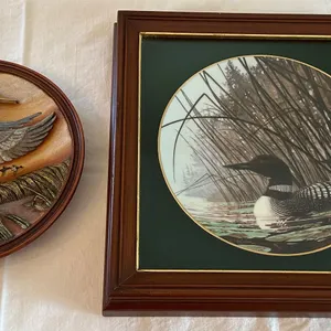 Collector's Plates - Ducks