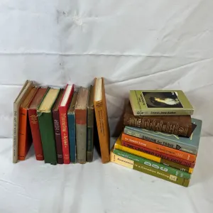 Lot of vintage books