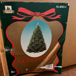7.5' Rocky Mountain Pine Chritmas Tree