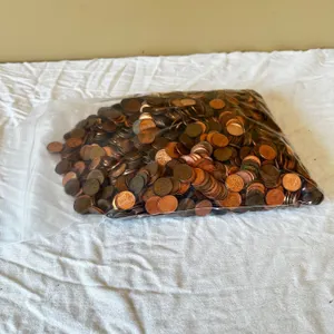 16 Pounds of Pennies