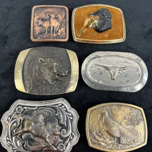 Belt Buckle Lot