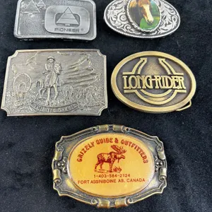 Assorted Belt Buckle Lot